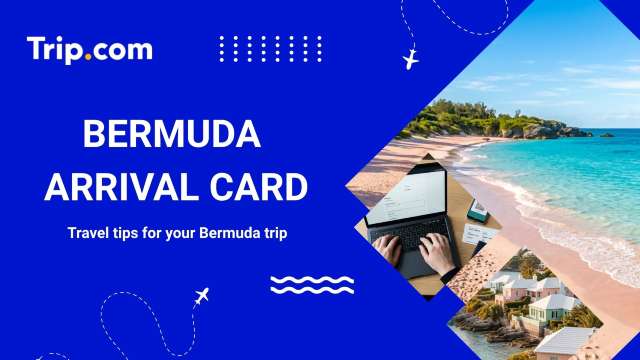 Bermuda Arrival Card