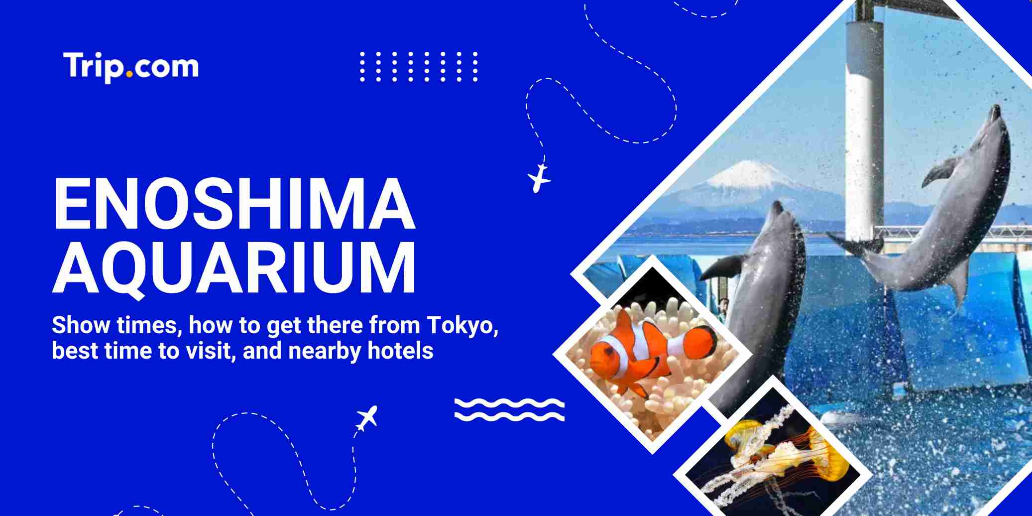 Enoshima Aquarium