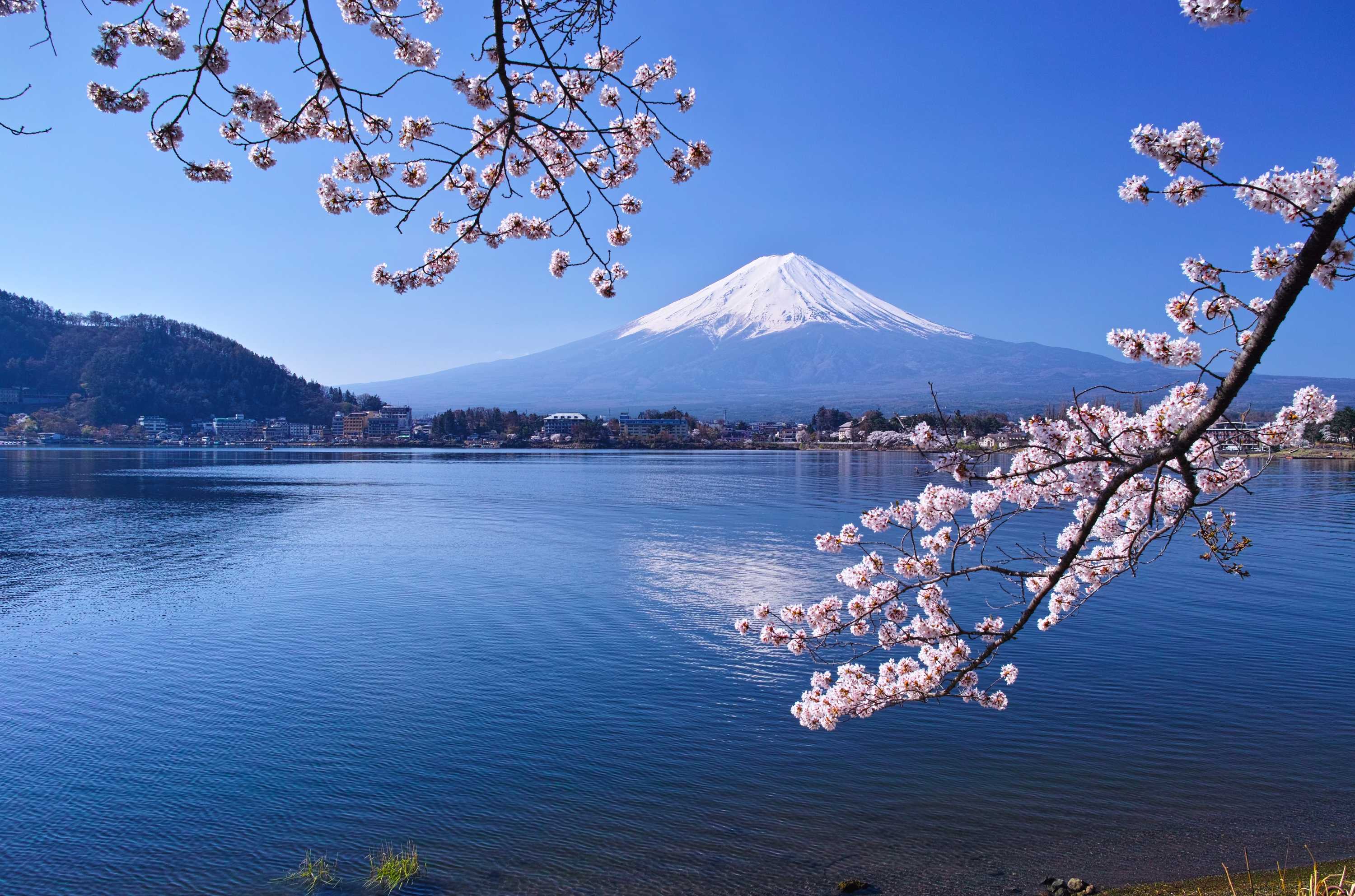 Mount Fuji