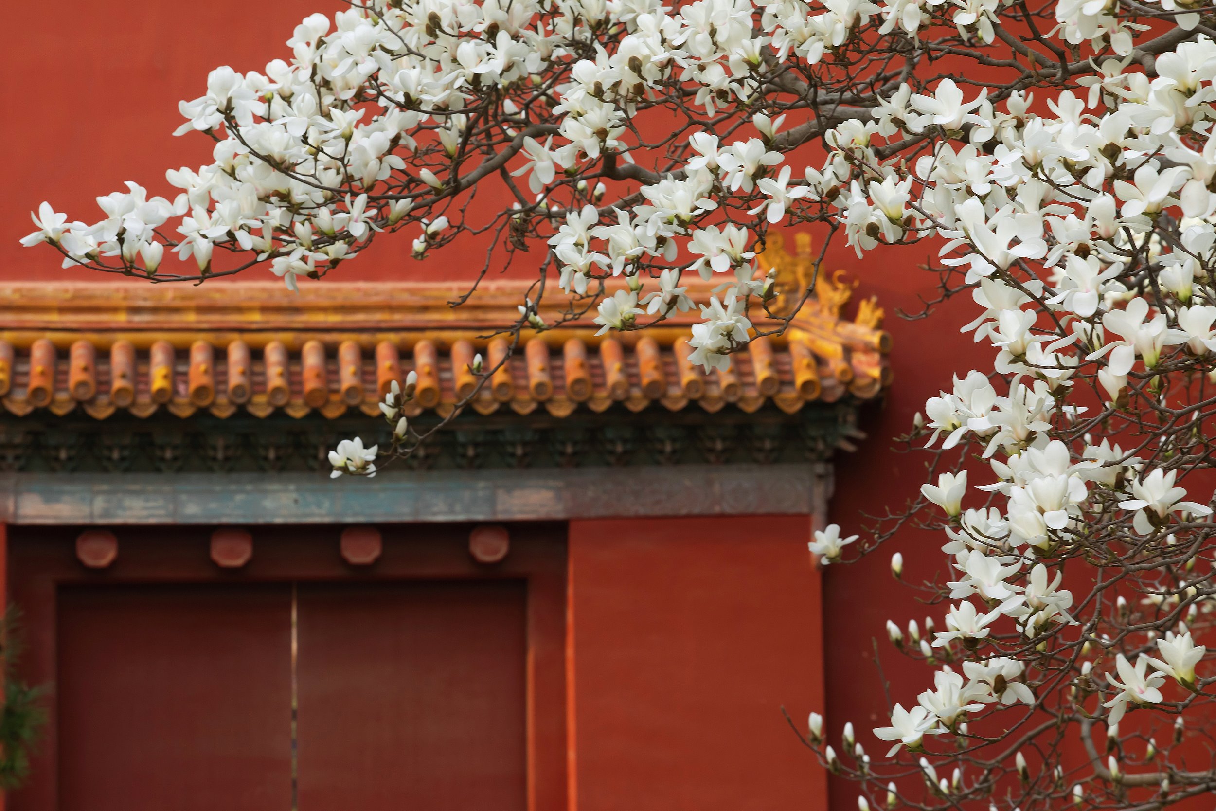 The Temple of Heaven Park