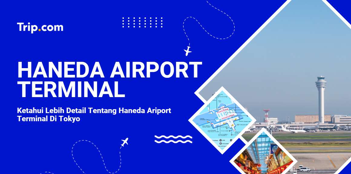 Haneda Airport Terminal