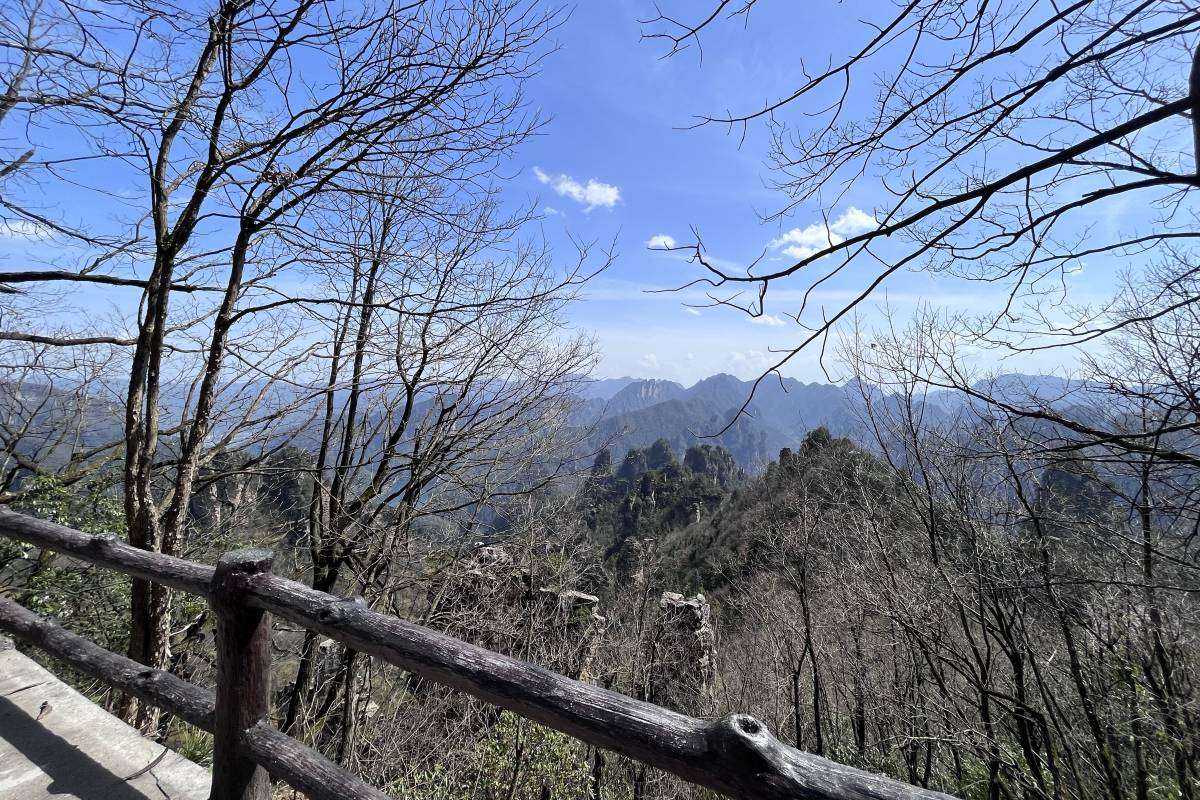 3.金鞭渓(きんべんけい)｜清流を眺めながら散策