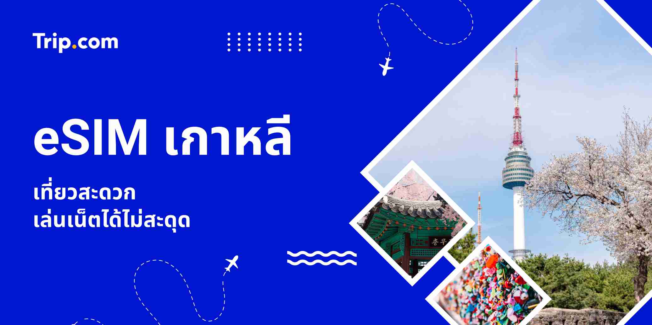 eSIM เกาหลี (eSIM Korea) 2569 เลือกอันไหนดี เน็ต Unlimited ซื้อผ่าน Trip.com