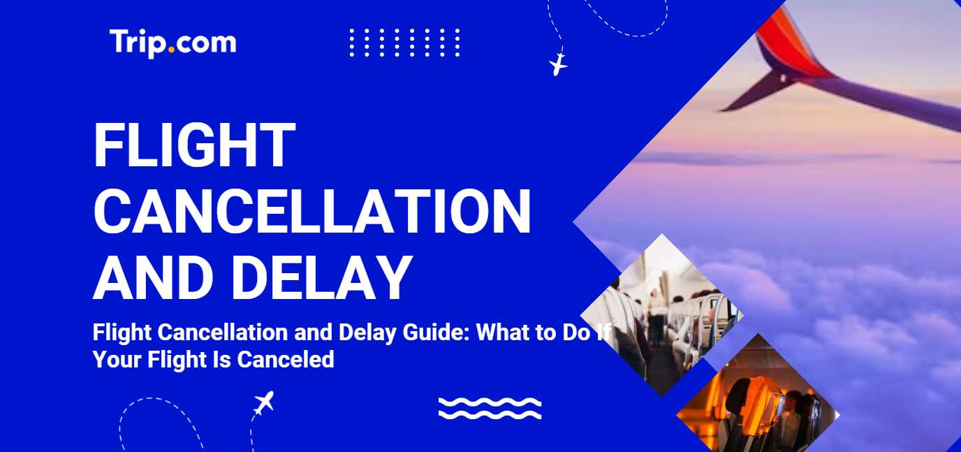 Flight Cancellation and Delay