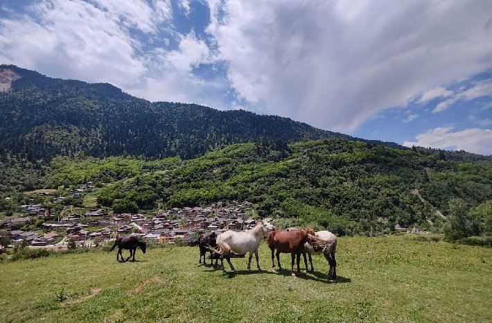 Praktische Tipps für Jiuzhaigou