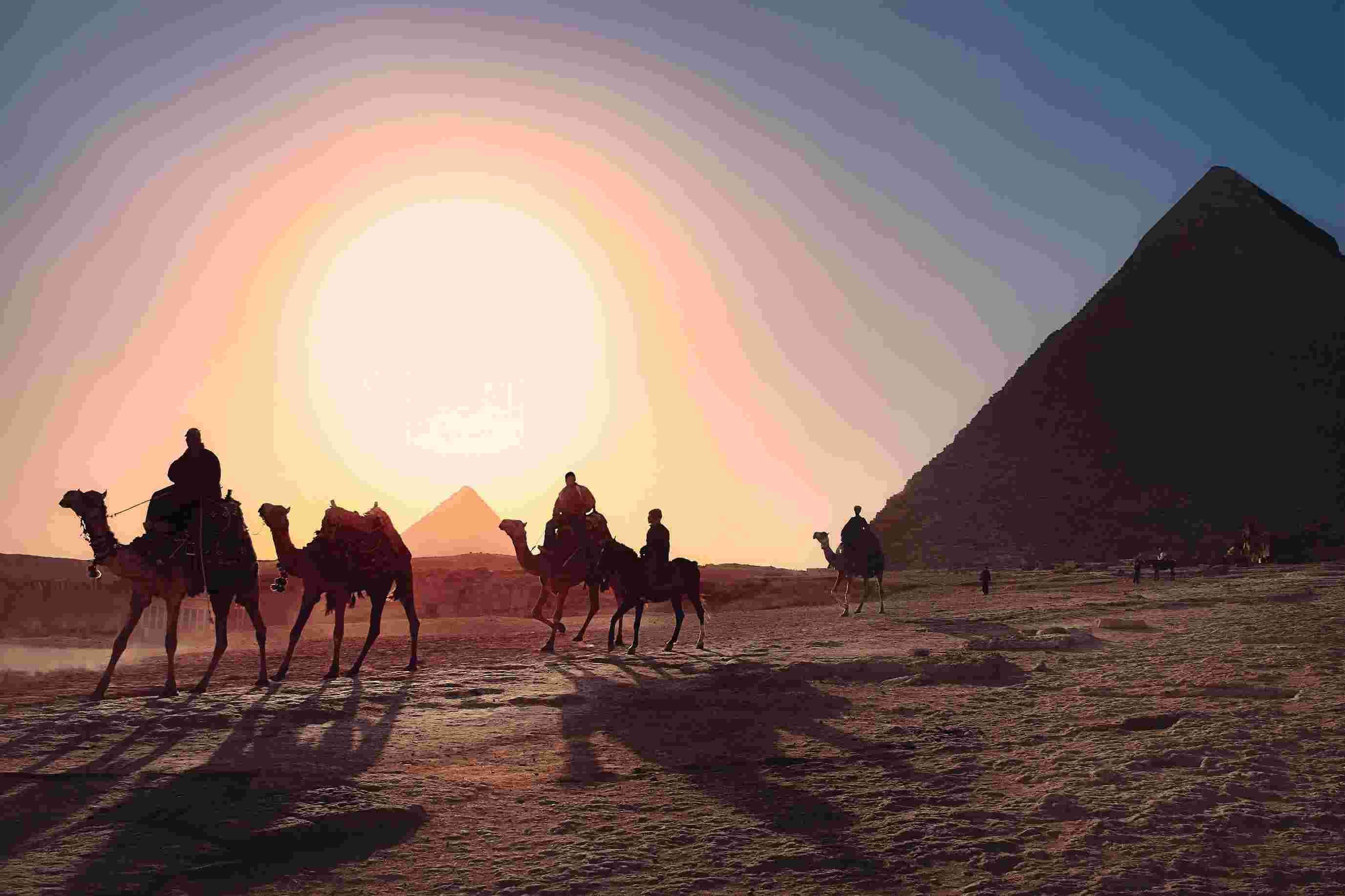 مصر