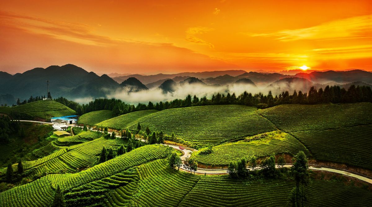 元旦（1月1日：Yuándàn／ユェンダン）