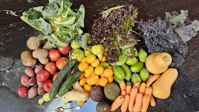 Fresh, homemade, and animal-based foods