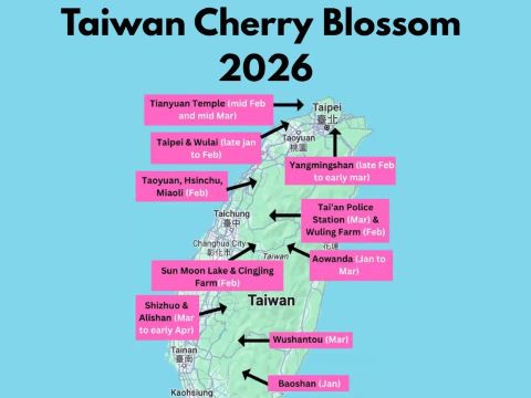 Cherry Blossom Taiwan