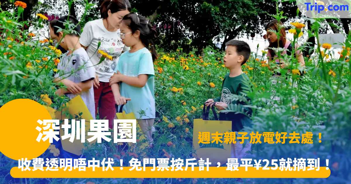 深圳果園採摘指南｜一日遊人氣農場推薦！摘士多啤梨荔枝低至¥25 | Trip.com