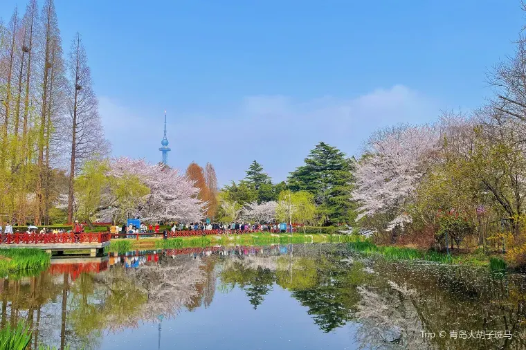 中山公園