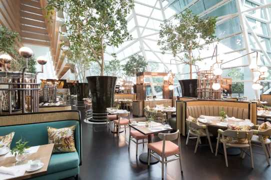 Marina Bay Sands Singapore Restaurant