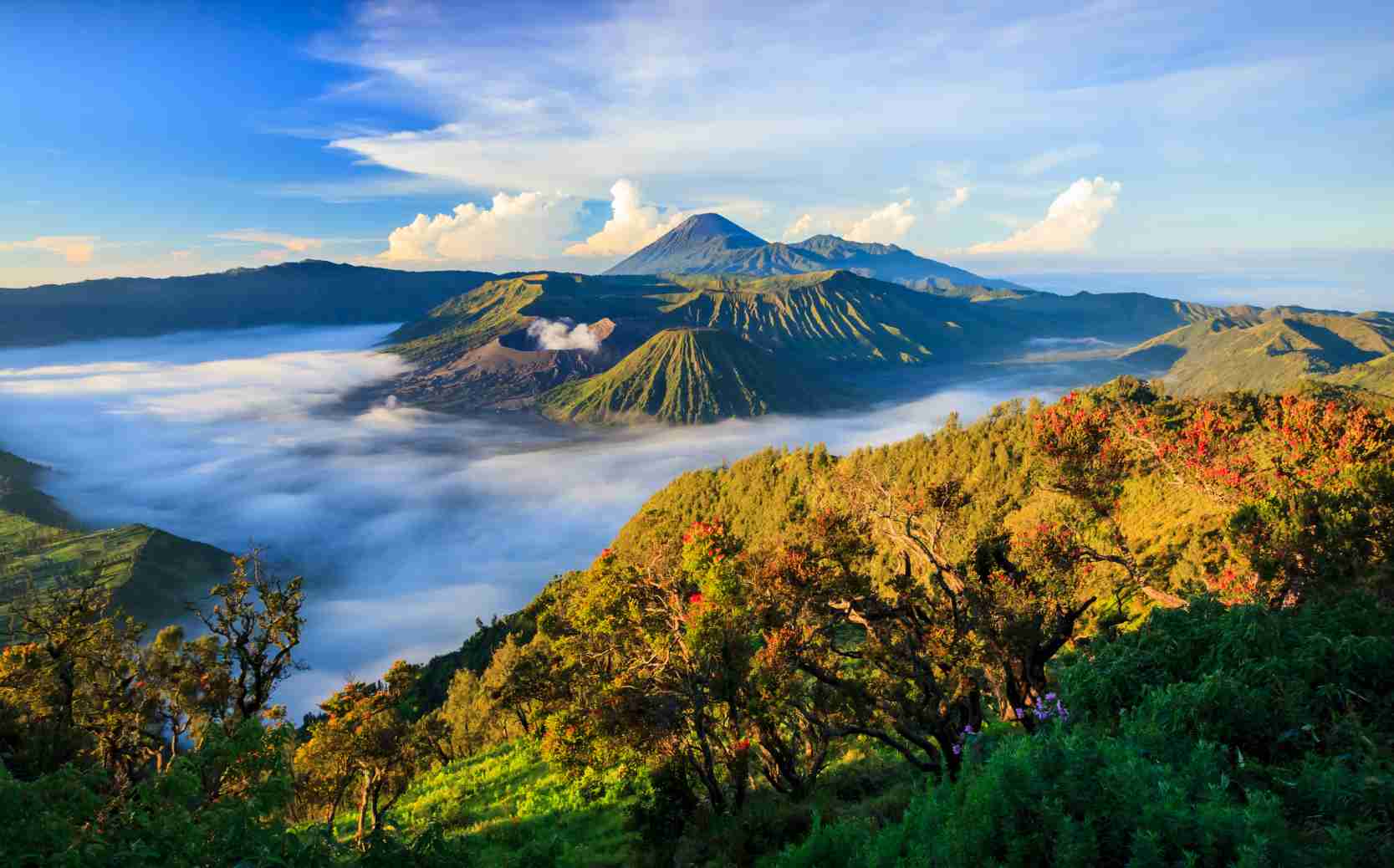 Mt Bromo