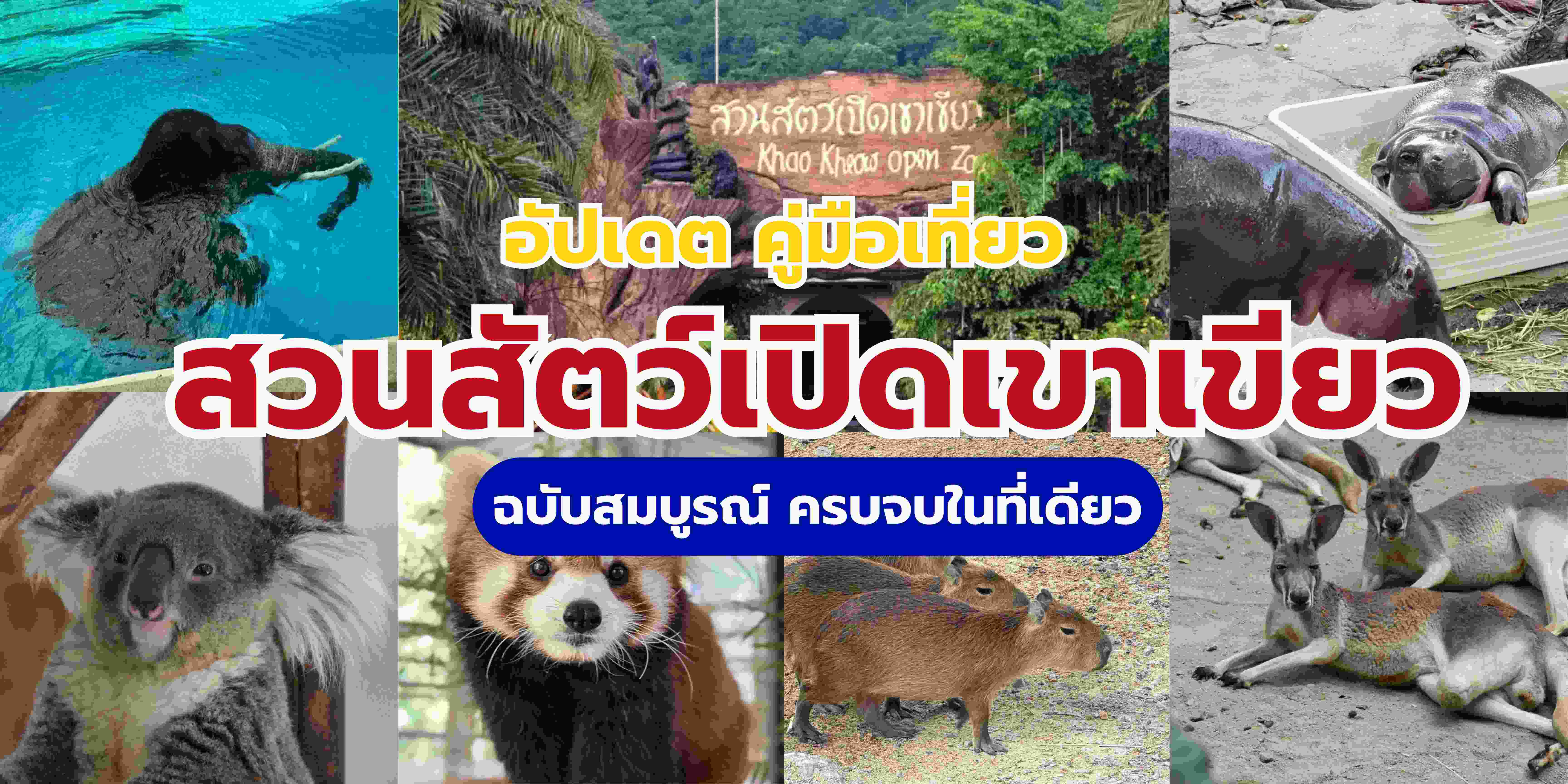 เที่ยวสวนสัตว์เปิดเขาเขียว: แผนที่ ราคา รอบแสดง ฉบับสมบูรณ์