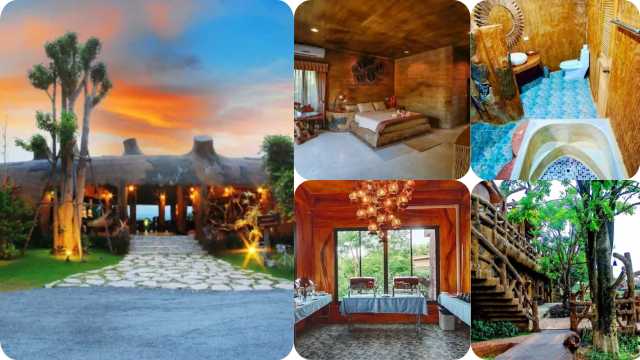 ทิมเบอร์แลนด์ แอนด์ ฟรุต รีสอร์ท