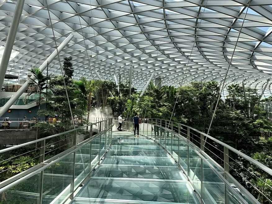 Canopy Bridge
