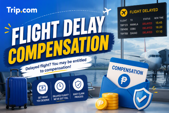 Flight Delay Compensation