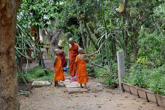 Best Areas to Stay in Siem Reap