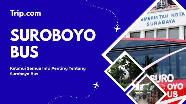Suroboyo Bus