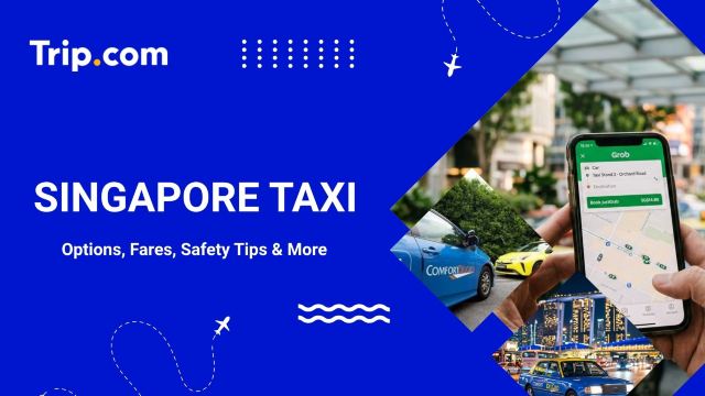 Singapore Taxi