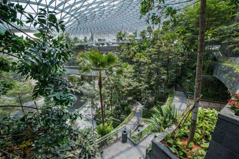 Shiseido Forest Valley in Jewel Changi Airport