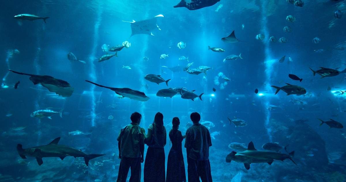 Singapore Oceanarium