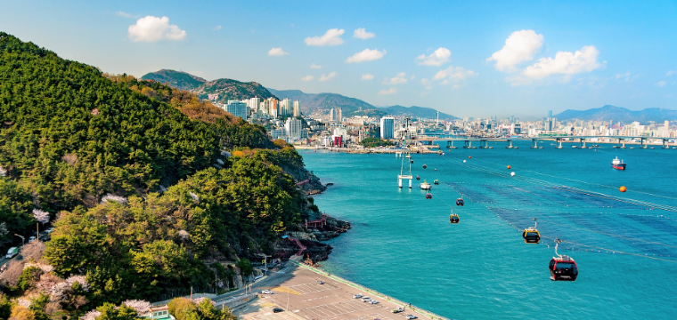 Busan Travel Guide: How to Get Around, Where to Stay & What to Do