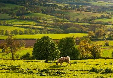 London to Cotswolds day trip: Trains, sights & itinerary