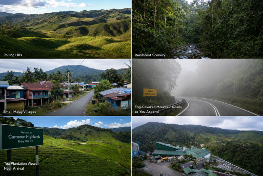 Rolling hills and rainforest scenerySmall Malay villagesFog-covered mountain roads as you ascendTea plantation views near arrival