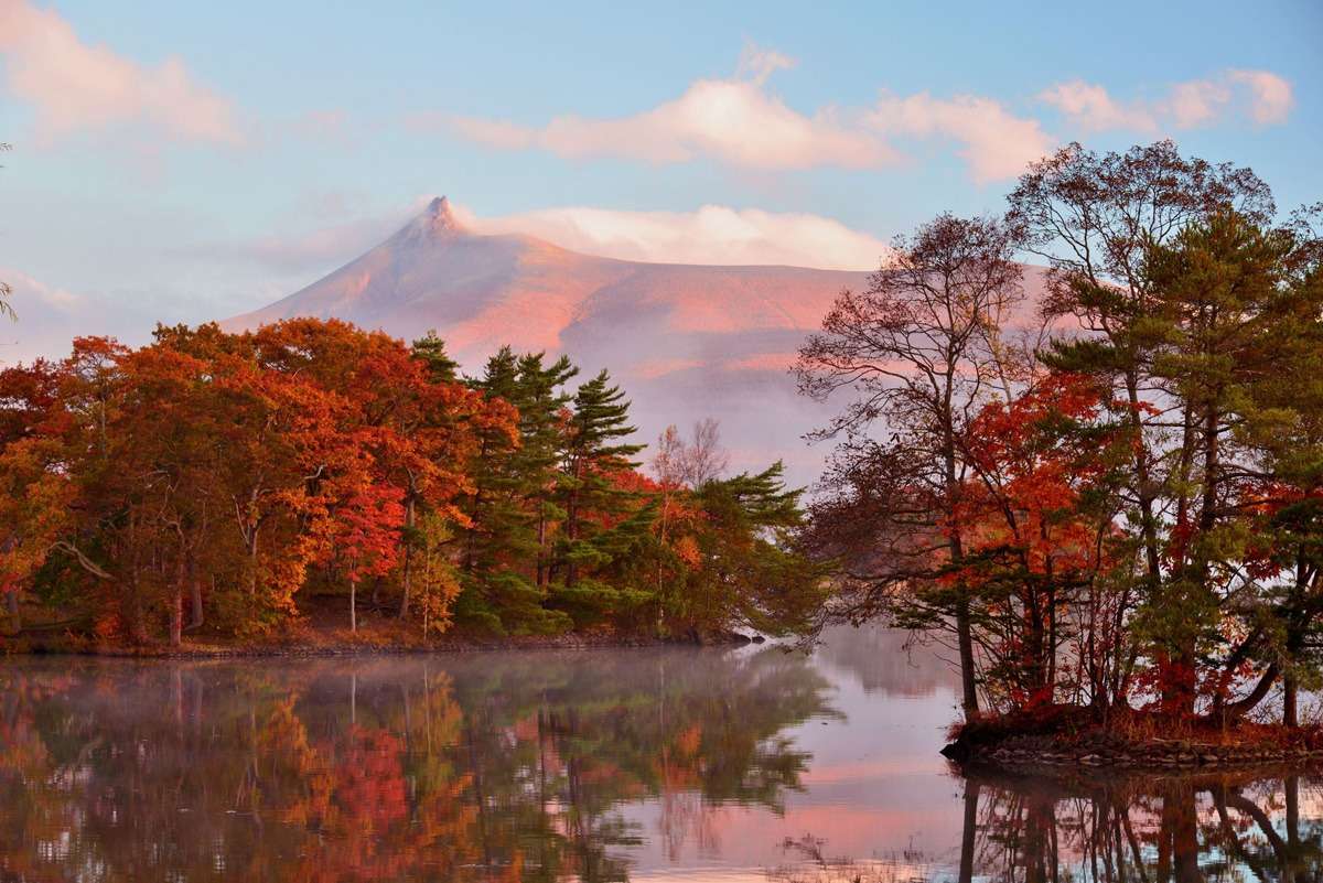 Hokkaido Autumn Foliage and Leaves