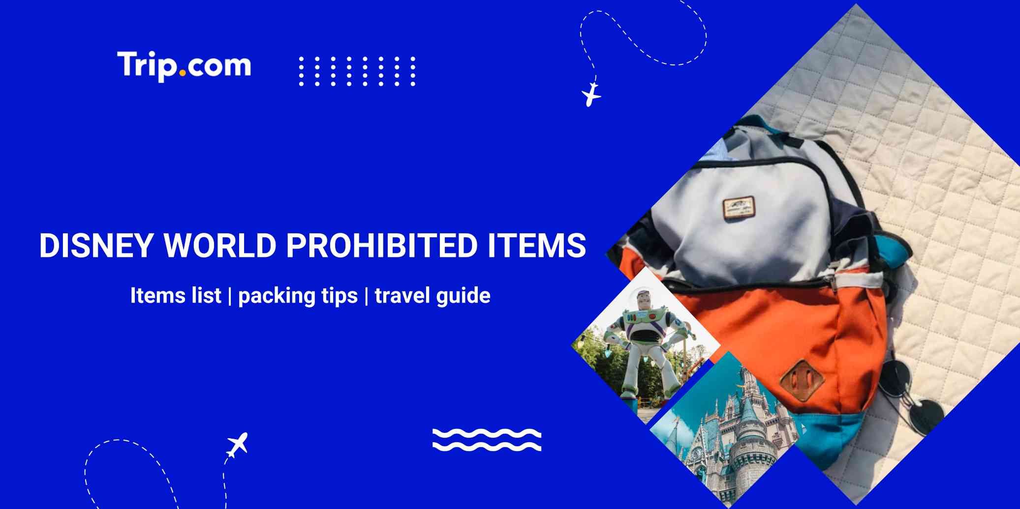 Guide to Disney World Prohibited Items