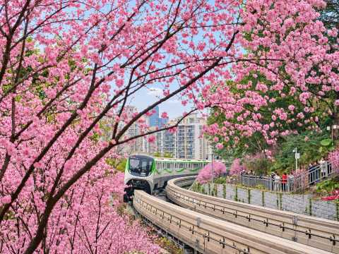 Chongqing Weather in Spring (March to May)