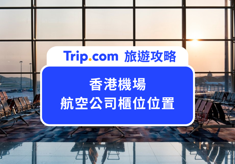 香港機場航空公司櫃位