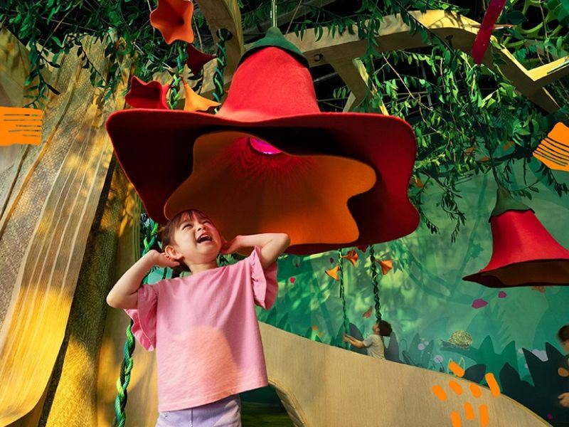 Curiosity Cove