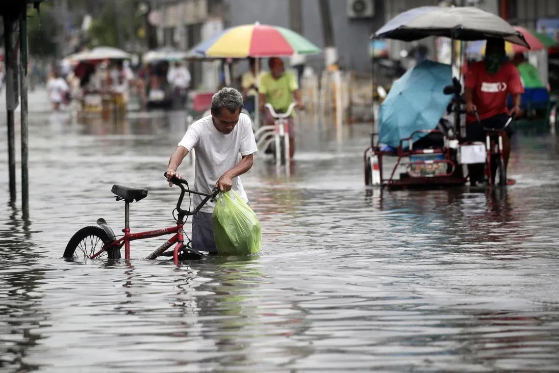 Typhoon Seasons