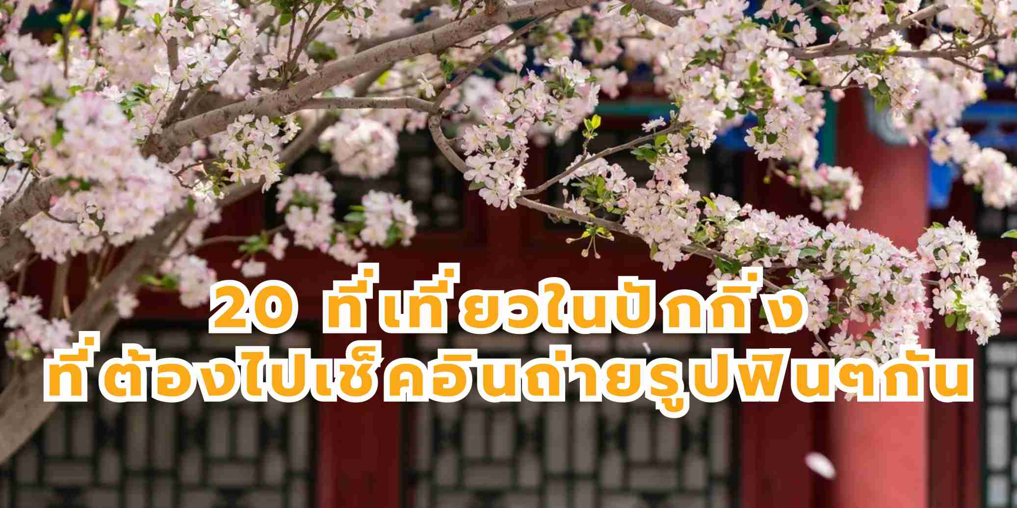 20 ที่เที่ยวปักกิ่ง 2569 มีกิจกรรมน่าสนใจ และจุดเช็คอินถ่ายรูปสวย  | Trip.com