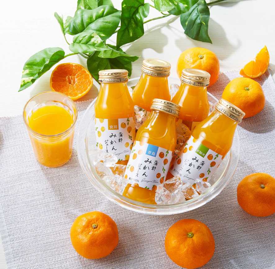蒲郡みかんジュース（はなのき堂）