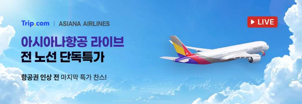 아시아나항공 라이브 특가