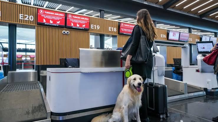 Counter Airport