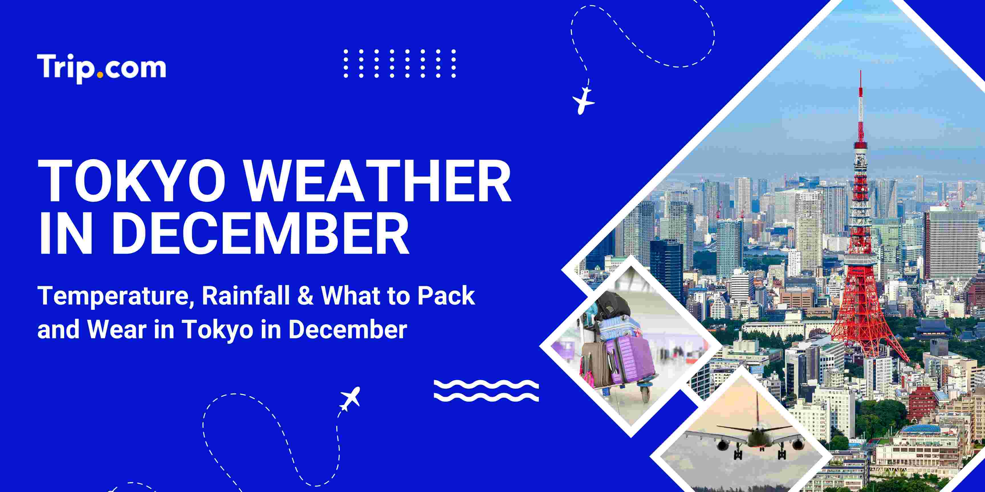Tokyo Weather in December: Temperature, Rainfall & What to Pack | Trip.com