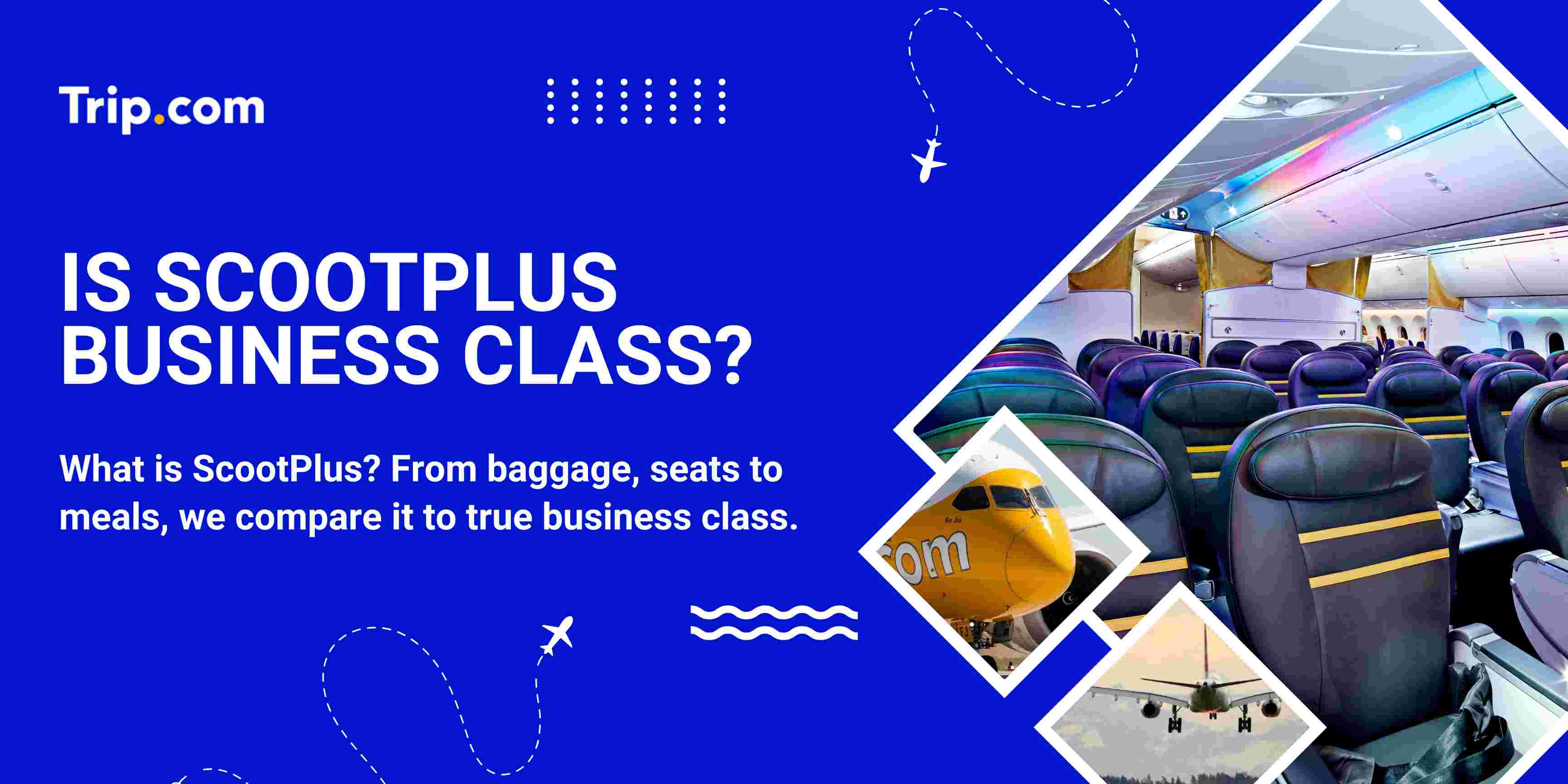 Is ScootPlus Business Class? Singapore Guide (2026) | Trip.com