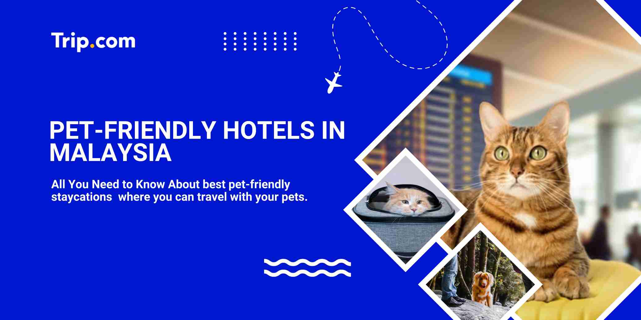  Pet-Friendly Hotels in Malaysia: Best Staycations with Pets | Trip.com