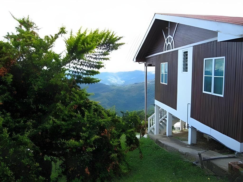 Kabin Kayu dan Guesthouse