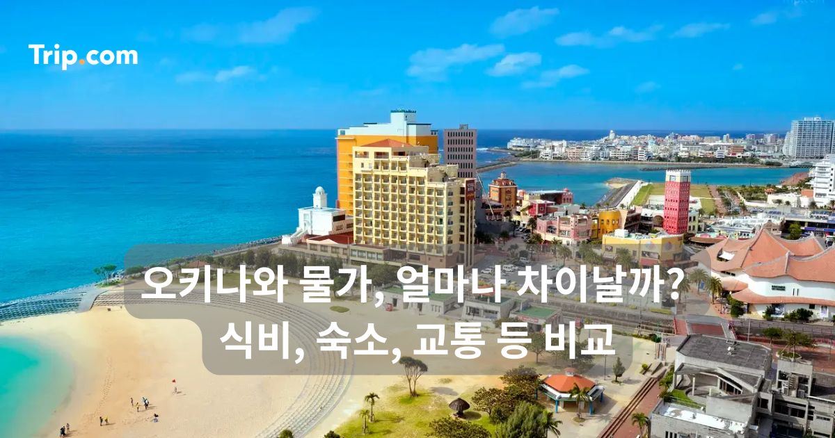 오키나와 물가