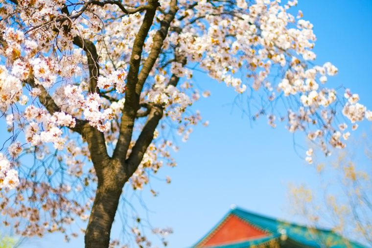 선양에서 서울 여행하기 좋은 시기