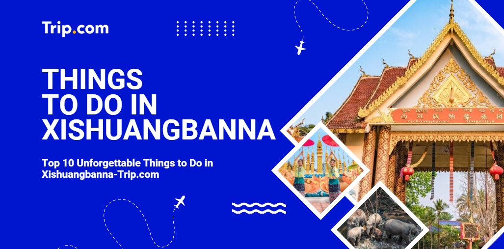 Top 10 Unforgettable Things to Do in Xishuangbanna-Trip.com