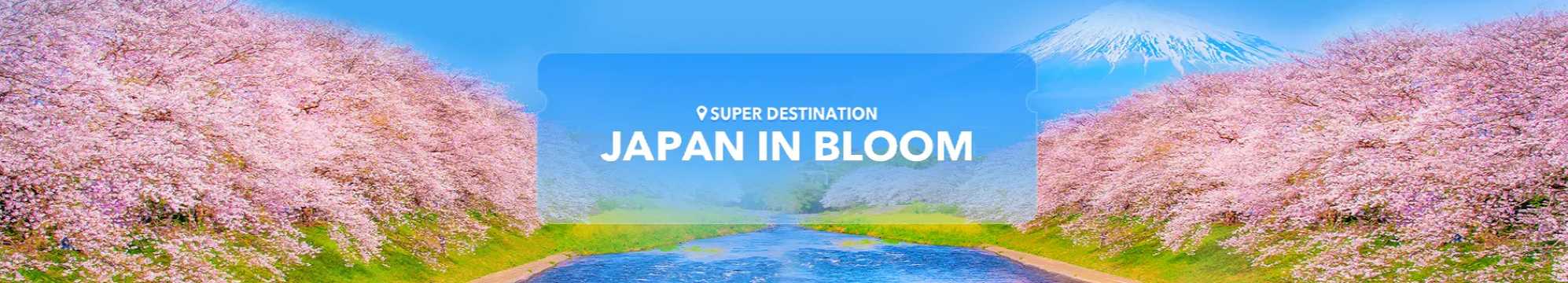 Japan in Bloom: Hotel deals up to 50% off
