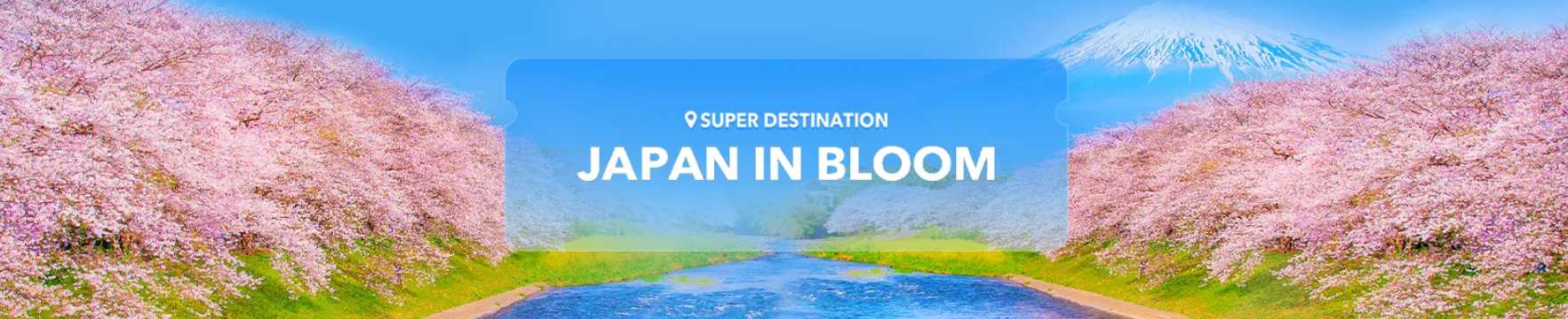 Trip.com Super Destination: Japan in Bloom