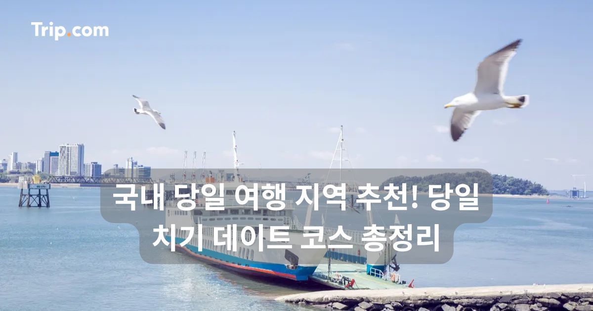 국내 당일 여행 추천