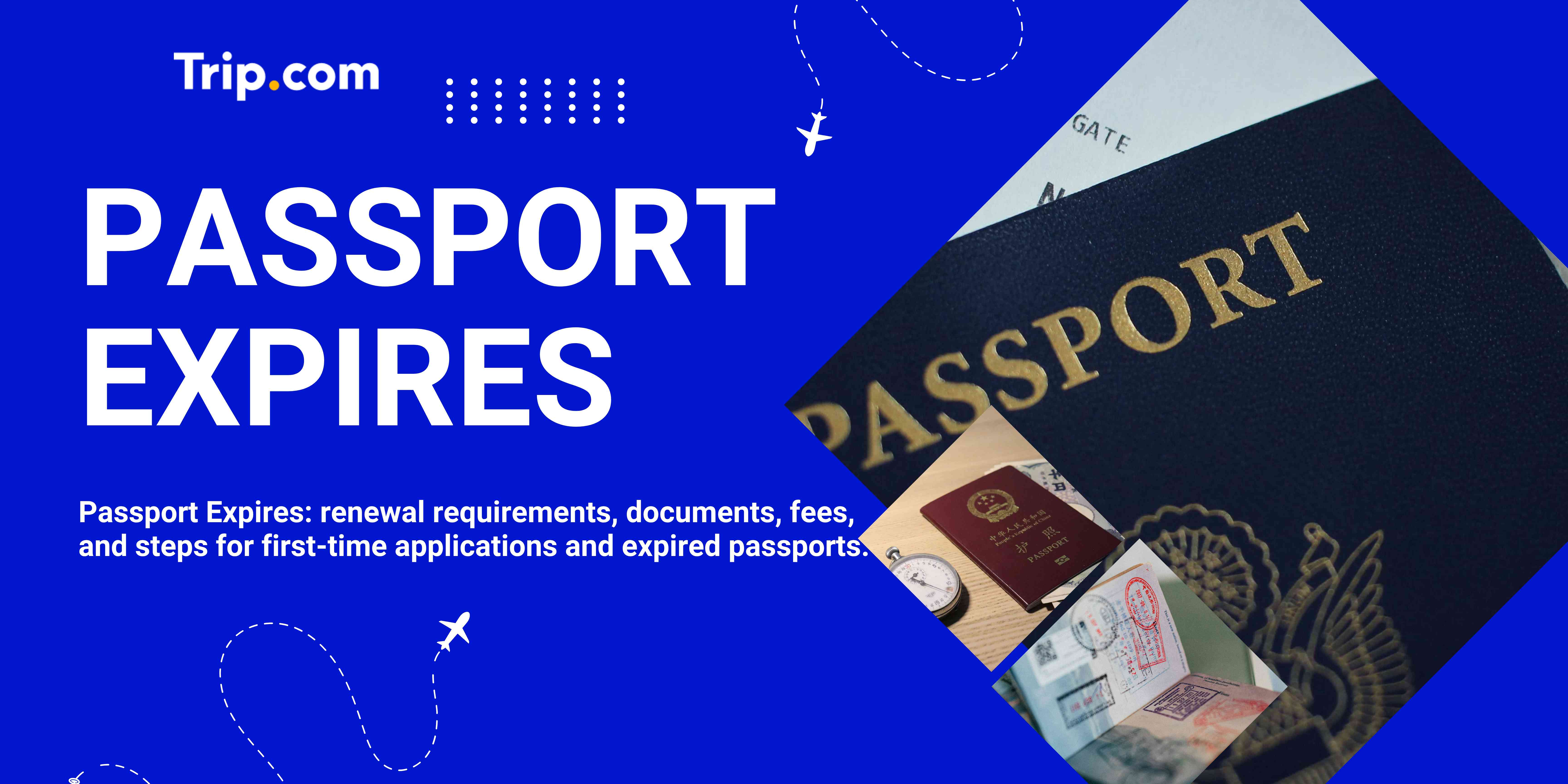 Passport Expires: What to Do & How to Renew